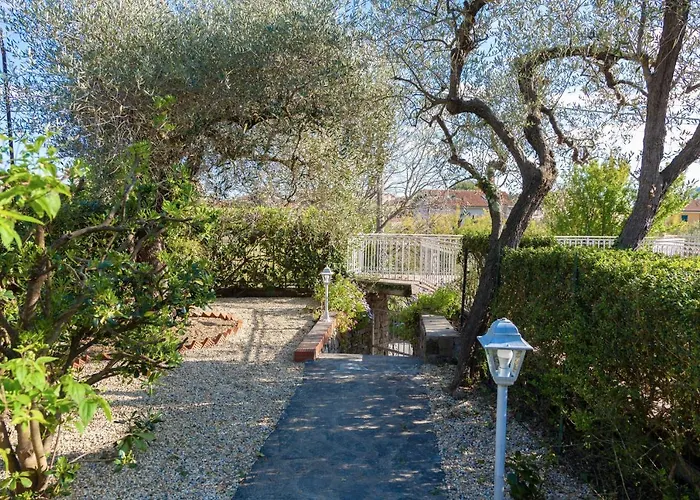 La Rodina * دْيانو مارينا