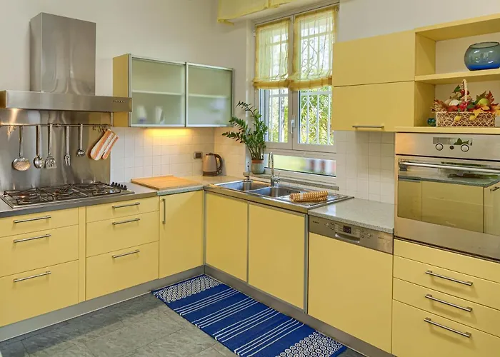 فيلة La Rodina *