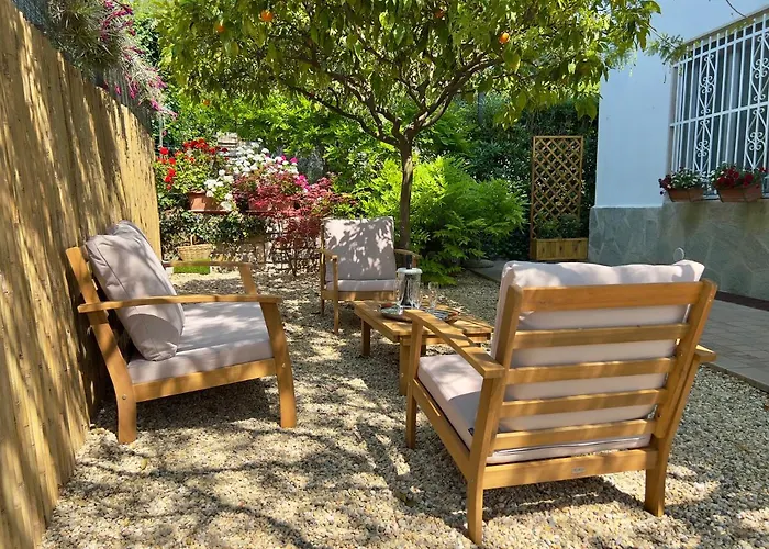 فيلة La Rodina *