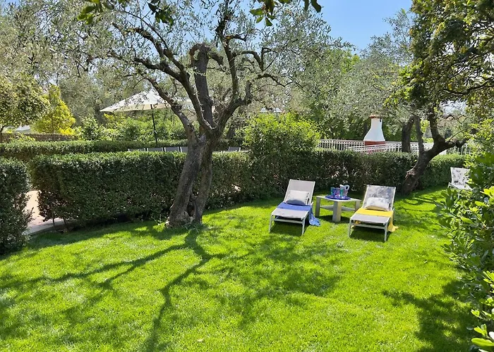 La Rodina فيلة *