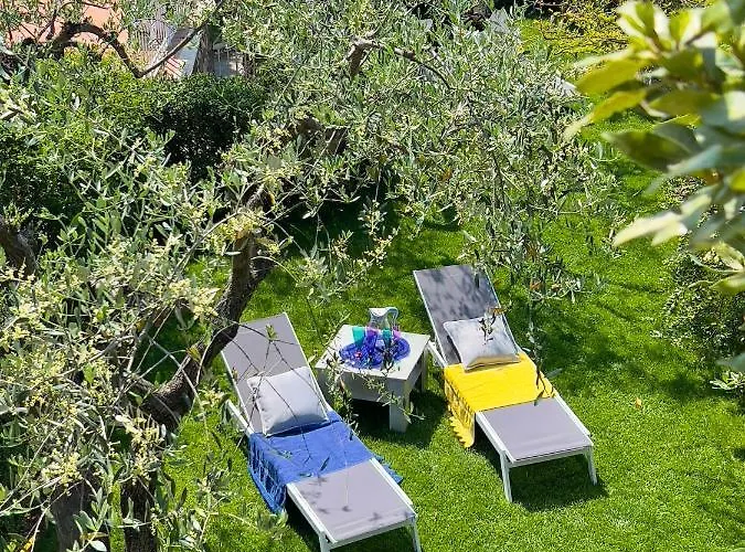 فيلة La Rodina *