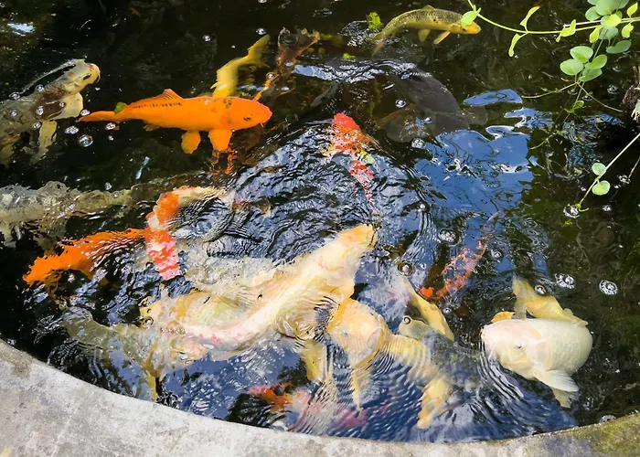 La Rodina دْيانو مارينا